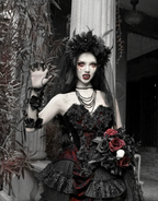 Crimson Gothic Velvet Corset Bustier & Gloves / CT01