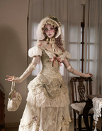 Elegant One-Shoulder Puff Sleeve Mesh Top & Arm Covers / DR01