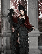 Crimson Gothic Velvet Corset Bustier & Gloves / CT01