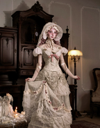 Elegant One-Shoulder Puff Sleeve Mesh Top & Arm Covers / DR01