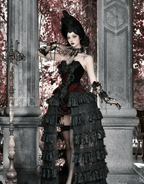 Crimson Gothic Velvet Corset Bustier & Gloves / CT01
