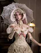 Elegant One-Shoulder Puff Sleeve Mesh Top & Arm Covers / DR01